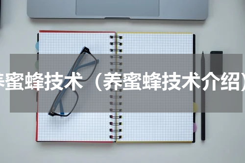 养蜜蜂技术（养蜜蜂技术介绍）