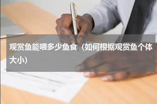 观赏鱼能喂多少鱼食（如何根据观赏鱼个体大小）