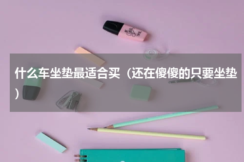 什么车坐垫最适合买（还在傻傻的只要坐垫）