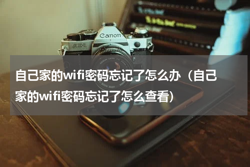 自己家的wifi密码忘记了怎么办（自己家的wifi密码忘记了怎么查看）