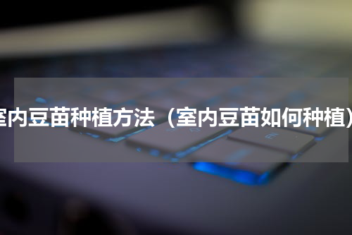 室内豆苗种植方法（室内豆苗如何种植）