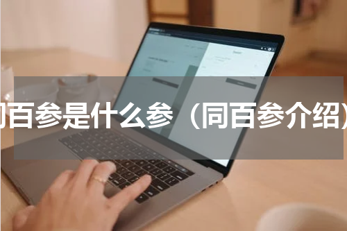 同百参是什么参（同百参介绍）