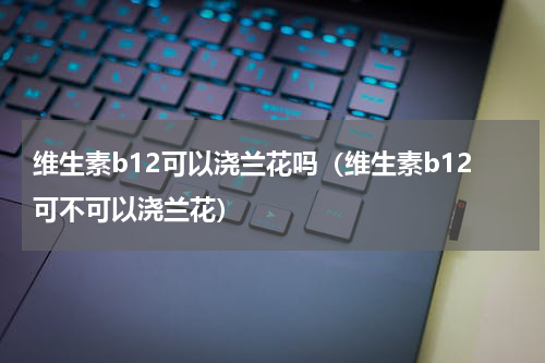 维生素b12可以浇兰花吗（维生素b12可不可以浇兰花）