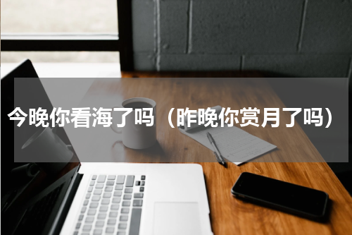 今晚你看海了吗（昨晚你赏月了吗）
