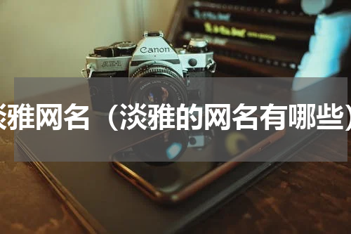 淡雅网名（淡雅的网名有哪些）