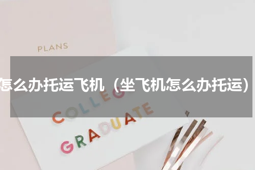 怎么办托运飞机（坐飞机怎么办托运）