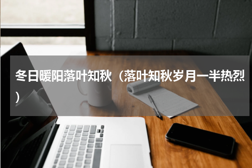 冬日暖阳落叶知秋（落叶知秋岁月一半热烈）