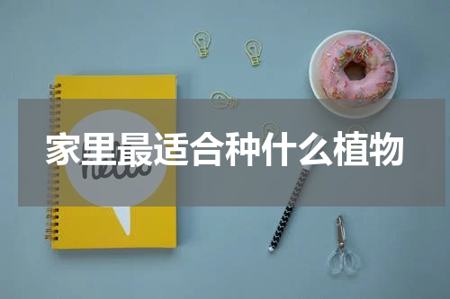 家里最适合种什么植物