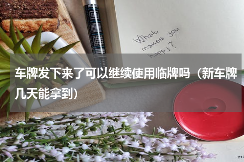 车牌发下来了可以继续使用临牌吗（新车牌几天能拿到）