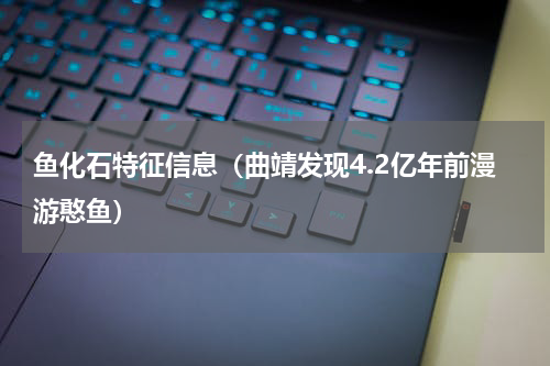 鱼化石特征信息（曲靖发现4.2亿年前漫游憨鱼）