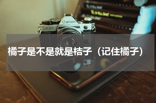 橘子是不是就是桔子（记住橘子）