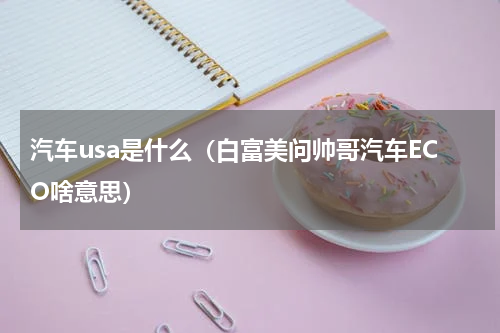汽车usa是什么（白富美问帅哥汽车ECO啥意思）