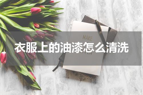 衣服上的油漆怎么清洗