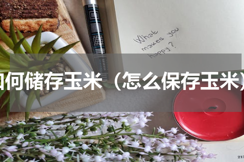 如何储存玉米（怎么保存玉米）