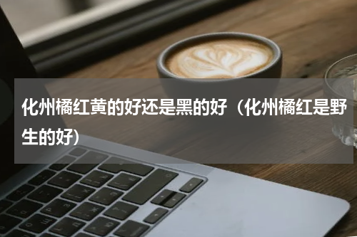 化州橘红黄的好还是黑的好（化州橘红是野生的好）