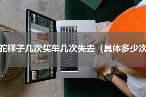 骆驼祥子几次买车几次失去（具体多少次）