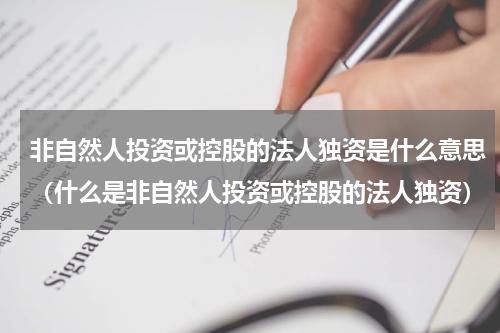 非自然人投资或控股的法人独资是什么意思（什么是非自然人投资或控股的法人独资）