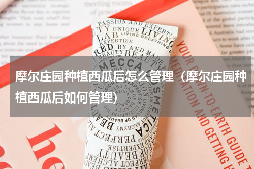 摩尔庄园种植西瓜后怎么管理（摩尔庄园种植西瓜后如何管理）