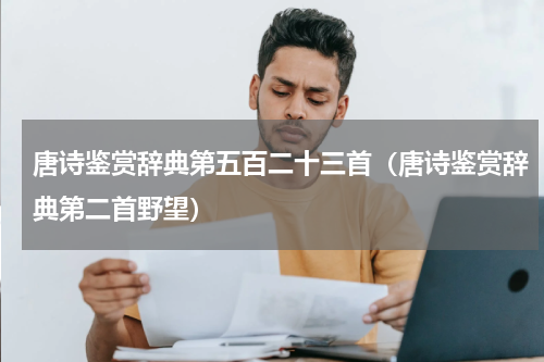 唐诗鉴赏辞典第五百二十三首（唐诗鉴赏辞典第二首野望）