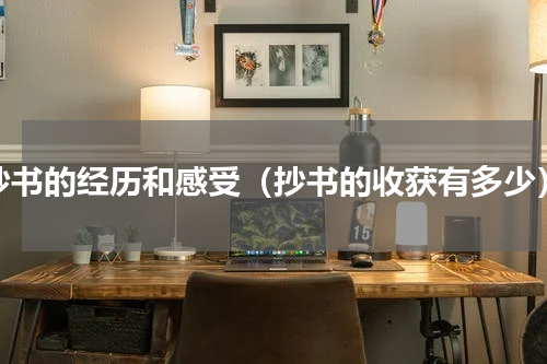 抄书的经历和感受（抄书的收获有多少）
