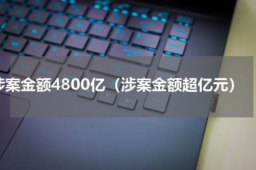 涉案金额4800亿（涉案金额超亿元）
