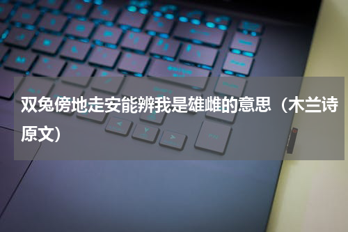 双兔傍地走安能辨我是雄雌的意思（木兰诗原文）