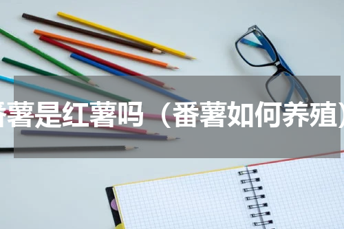 番薯是红薯吗（番薯如何养殖）