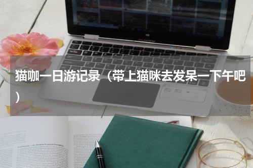 猫咖一日游记录（带上猫咪去发呆一下午吧）