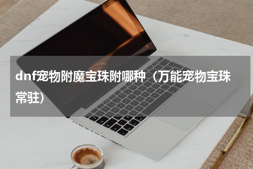 dnf宠物附魔宝珠附哪种（万能宠物宝珠常驻）