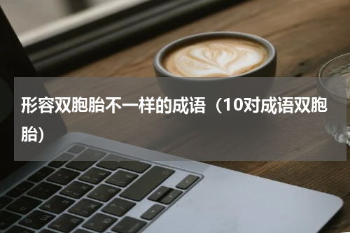 形容双胞胎不一样的成语（10对成语双胞胎）