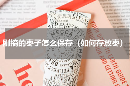 刚摘的枣子怎么保存（如何存放枣）