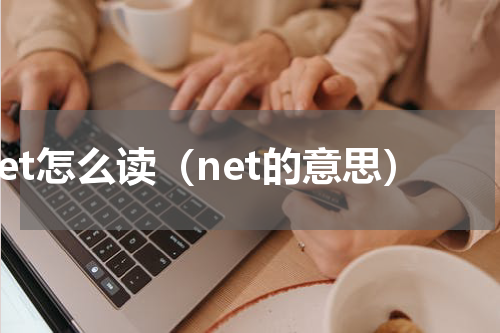 net怎么读（net的意思）