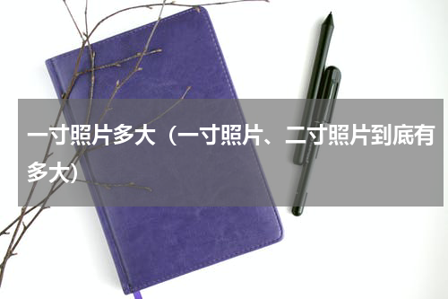 一寸照片多大（一寸照片、二寸照片到底有多大）