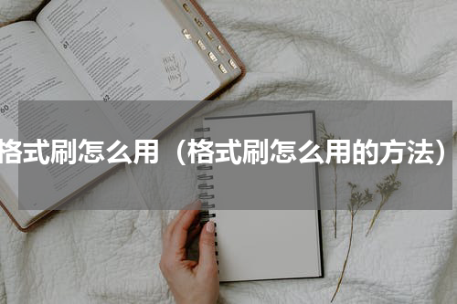 格式刷怎么用（格式刷怎么用的方法）