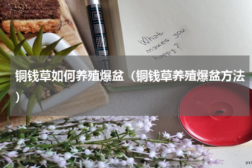 铜钱草如何养殖爆盆（铜钱草养殖爆盆方法）