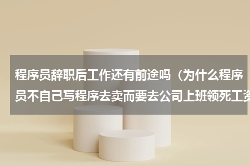 程序员辞职后工作还有前途吗（为什么程序员不自己写程序去卖而要去公司上班领死工资）