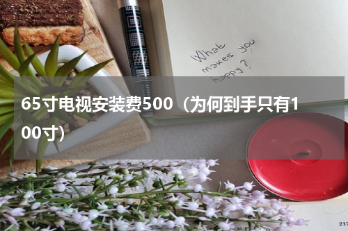 65寸电视安装费500（为何到手只有100寸）