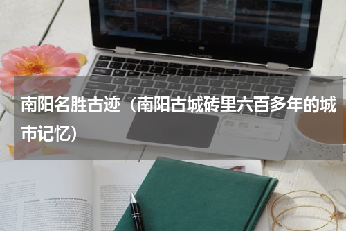 南阳名胜古迹（南阳古城砖里六百多年的城市记忆）