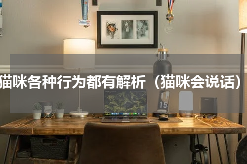 猫咪各种行为都有解析（猫咪会说话）