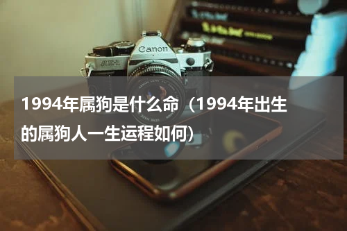 1994年属狗是什么命（1994年出生的属狗人一生运程如何）