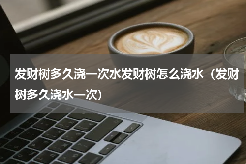 发财树多久浇一次水发财树怎么浇水（发财树多久浇水一次）