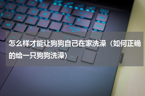 怎么样才能让狗狗自己在家洗澡（如何正确的给一只狗狗洗澡）