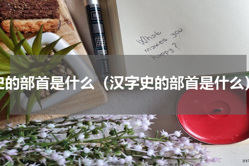 史的部首是什么（汉字史的部首是什么）