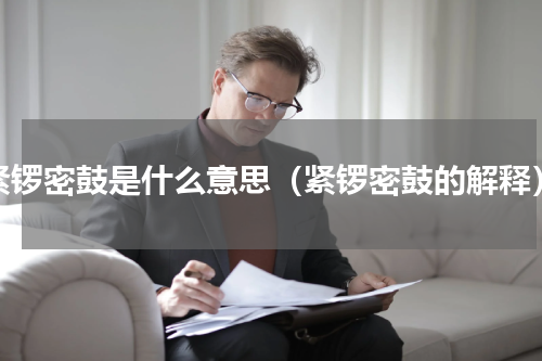 紧锣密鼓是什么意思（紧锣密鼓的解释）