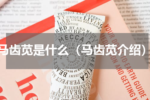 马齿苋是什么（马齿苋介绍）