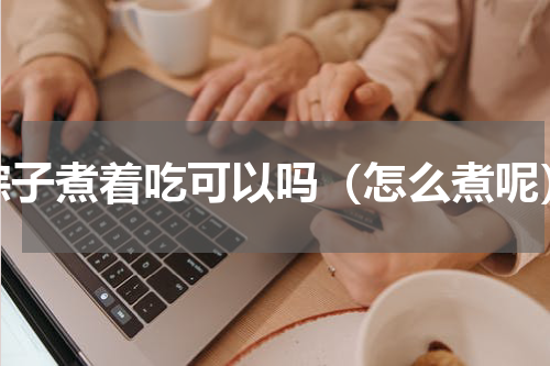 粽子煮着吃可以吗（怎么煮呢）