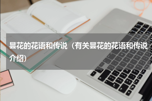 昙花的花语和传说（有关昙花的花语和传说介绍）