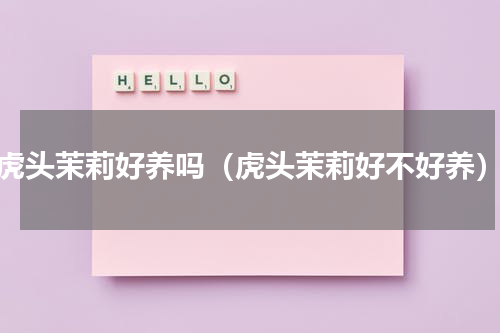 虎头茉莉好养吗（虎头茉莉好不好养）