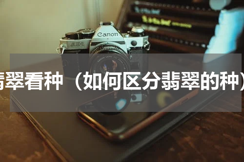 翡翠看种（如何区分翡翠的种）