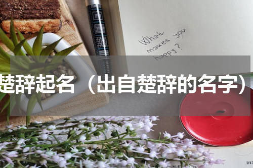 楚辞起名（出自楚辞的名字）